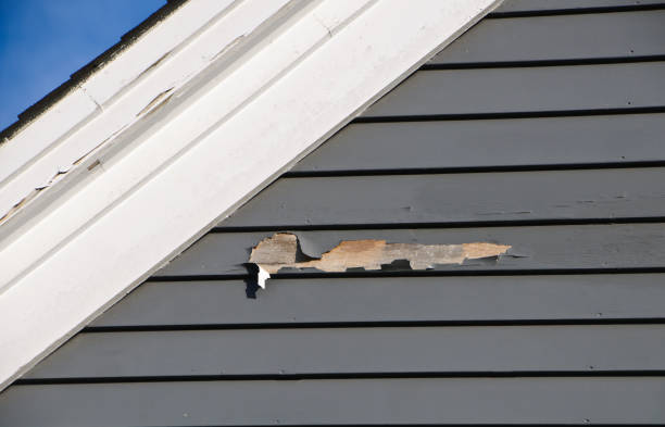 How To Choose The Right Materials for Your Siding Installation in 'Keshena, WI